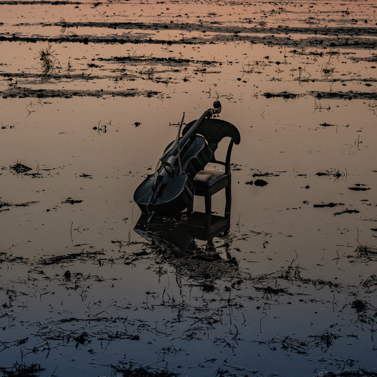 Album cover of Yuki Nakagawa's solo ablum Still and Remains. The photo shows a field flooded with water. There is a chair in the field. A cello is leaning against it.